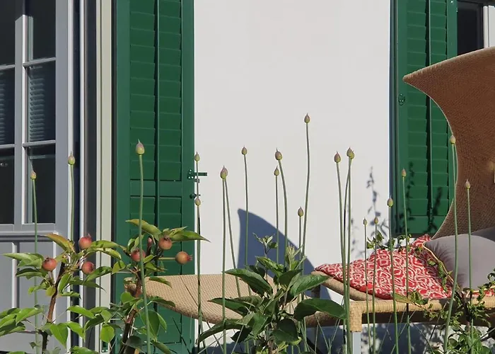 Dependance Ost * Interlaken